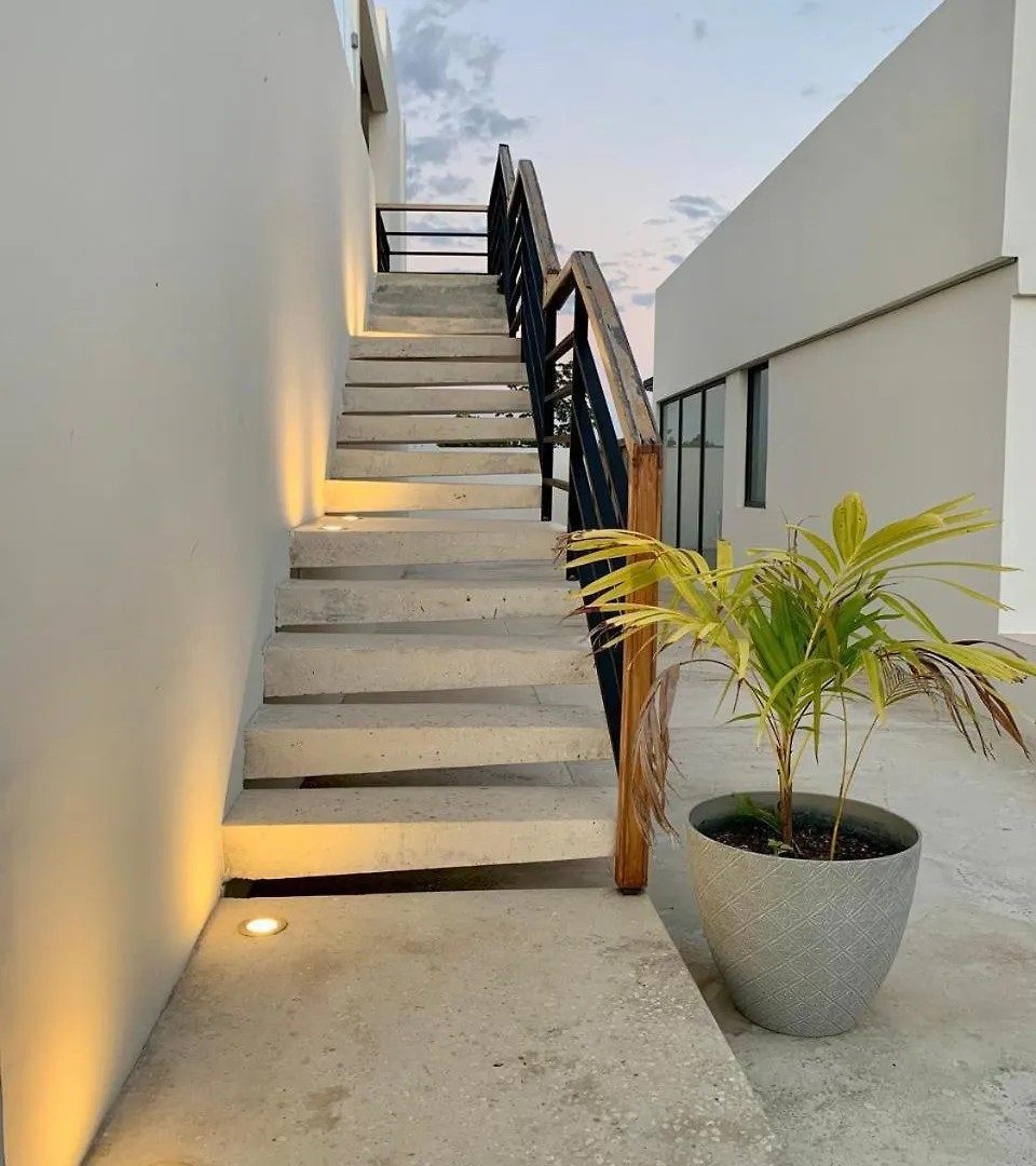 Daire Designer Ph Studio Private Pool Tulum Meksika