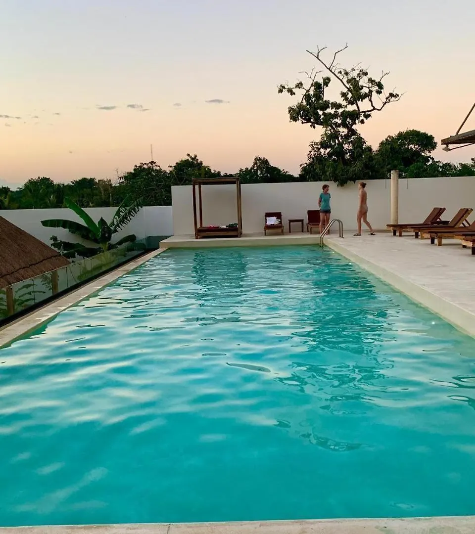 Designer Ph Studio Private Pool Tulum Meksika