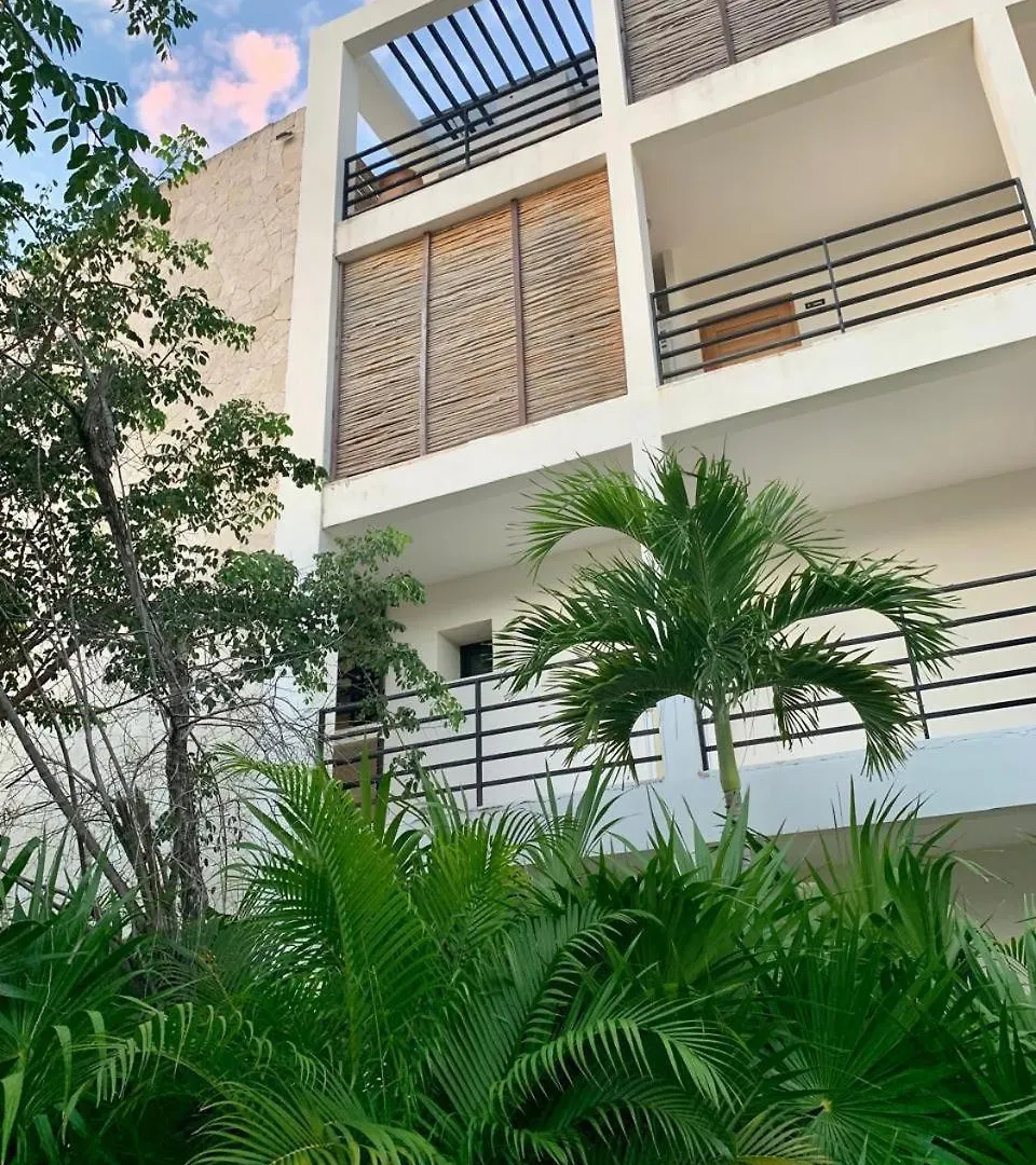 Designer Ph Studio Private Pool Tulum Daire
